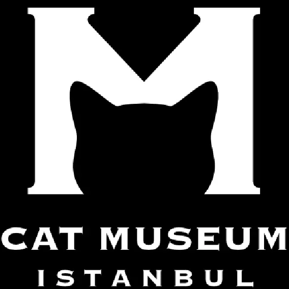 Cat Museum Istanbul